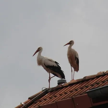 Wehrstedter Hof 3* Halberstadt