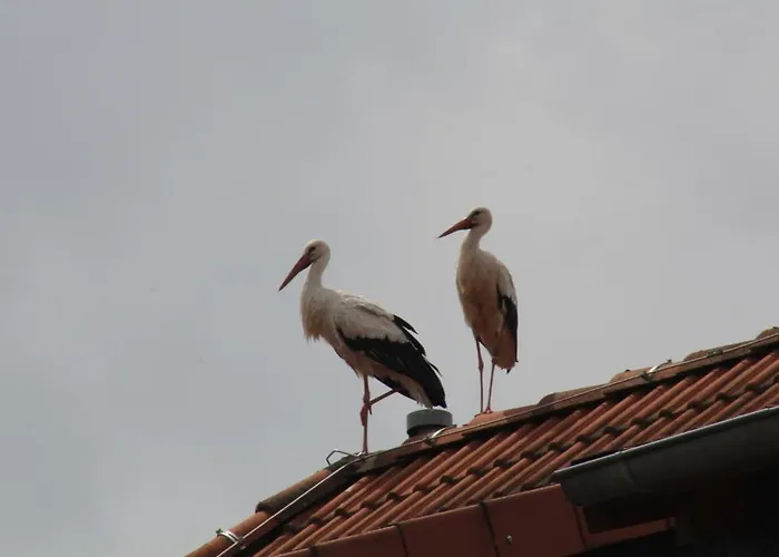 Wehrstedter Hof 3* Halberstadt